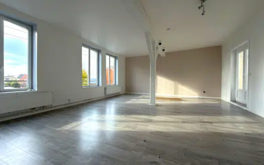 BEAUX VOLUMES POUR CE TRIPLEX À FORT POTENTIEL !