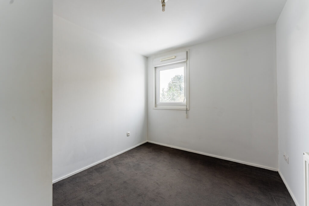 photo_f8dfdb5cc741830f069df7f5b8832271-27530