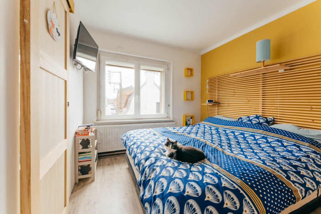 photo_21856b8df43a4c18532d80d08bc2d67a-28580