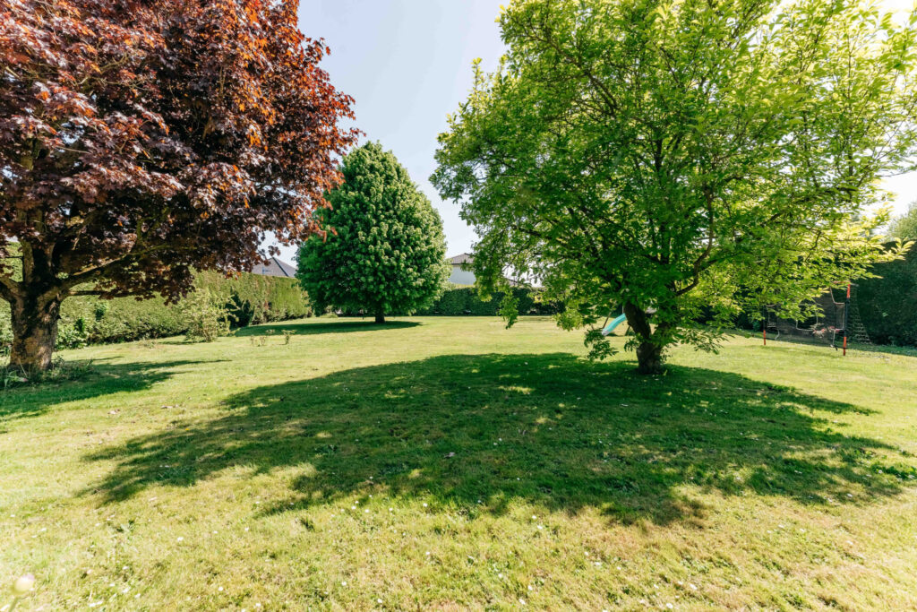 photo_a2b7720e575fca978ef14c58fe21eaff-28501