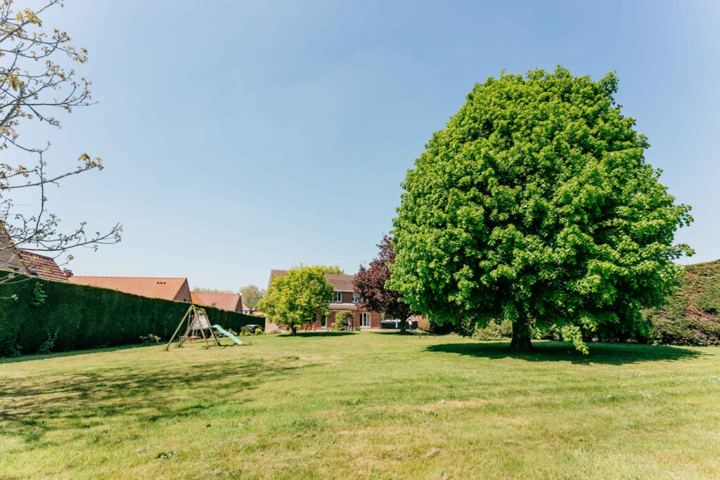 photo_ea9e1e910a140817dbae138306089ce8-28501