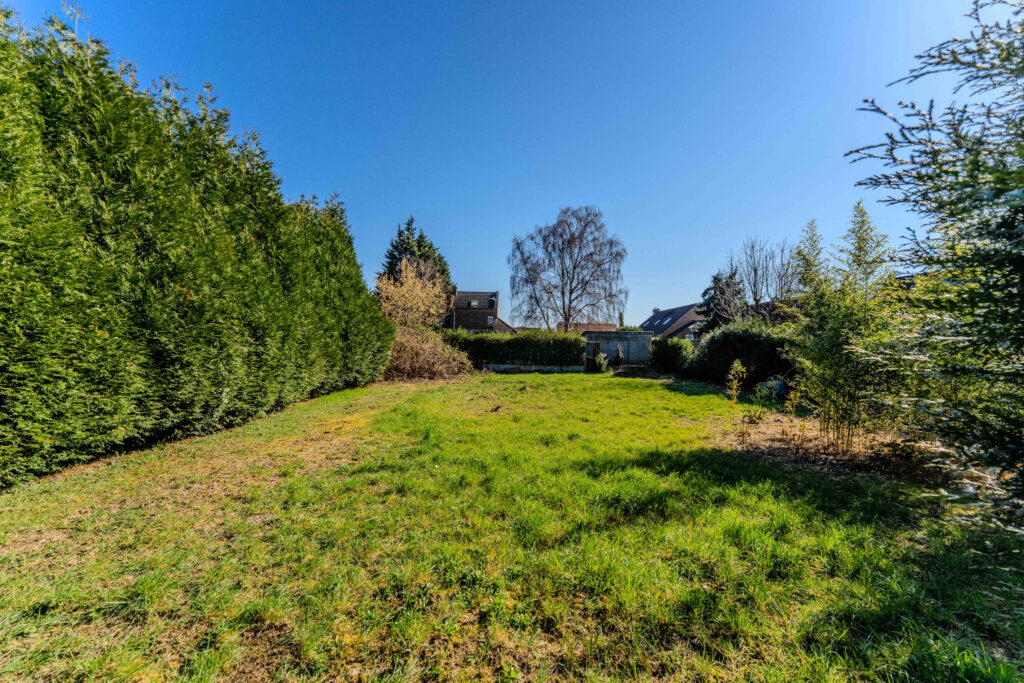 photo_10a31c6ef4973dd2a9d3080812e25410-28928