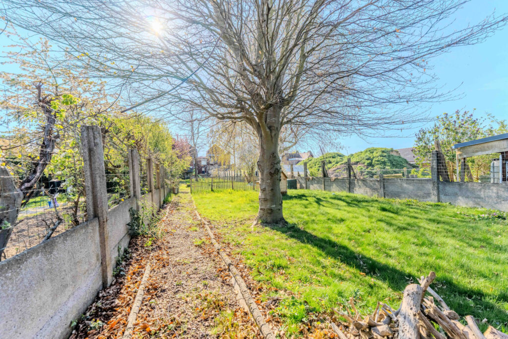 photo_b122562306392de2e85feb0bb2dfbcde-29024